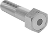 Hex Head Screws