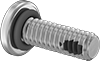 Rounded Head Screws