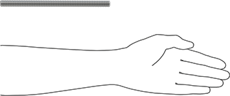 Image of Product. Side1 orientation. Contains SizingReference. 18-8 Stainless Steel Threaded Rod, M12 x 1.75 mm Thread Size, 200 mm Long.