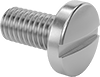Stainless Steel Pan Head Slotted Screws