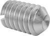 Slotted Stainless Steel Cup-Tip Set Screws