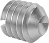 Slotted Stainless Steel Cup-Tip Set Screws
