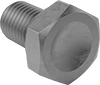 Titanium Hex Head Screws
