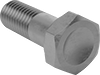 Titanium Hex Head Screws