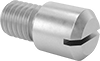 Shoulder Screws