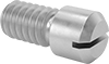 Shoulder Screws