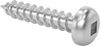 Tapping Screws