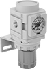 Compressed Air Regulator Manifolds