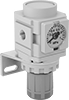 Compressed Air Regulator Manifolds