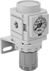 Compressed Air Regulator Manifolds