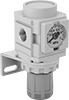 Compressed Air Regulator Manifolds
