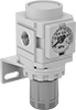 Compressed Air Regulator Manifolds