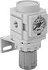 Compressed Air Regulator Manifolds