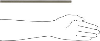 Image of Product. Side1 orientation. Contains SizingReference. Super-Corrosion-Resistant 316 Stainless Steel Threaded Rod, M12 x 1.75 mm Thread Size, 300 mm Long.