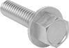 Stainless Steel Serrated-Flange Hex Head Screws