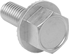 Stainless Steel Serrated-Flange Hex Head Screws