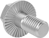 Stainless Steel Serrated-Flange Hex Head Screws