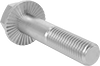 Stainless Steel Serrated-Flange Hex Head Screws