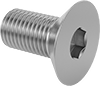 Flat Head Screws