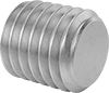 Stainless Steel Flat-Tip Set Screws