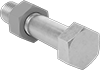 Hex Head Screws