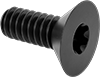 Flat Head Screws