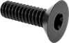 Flat Head Screws