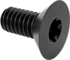 Flat Head Screws