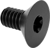 Flat Head Screws