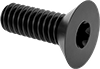 Flat Head Screws