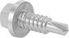 Tapping Screws