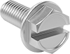 Steel Flanged Slotted Hex Head Screws
