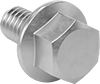 Stainless Steel Flanged Hex Head Screws