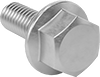 Stainless Steel Flanged Hex Head Screws