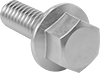 Stainless Steel Flanged Hex Head Screws