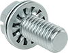 Steel Flanged Slotted Hex Head Screws with Internal-Tooth Lock Washer