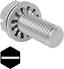 Steel Flanged Slotted Hex Head Screws with Internal-Tooth Lock Washer