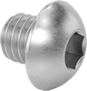Rounded Head Screws