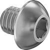 Rounded Head Screws