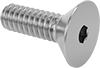 Flat Head Screws