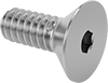 Flat Head Screws