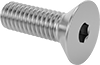 Flat Head Screws