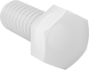 Ceramic Hex Head Screws