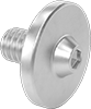 Rounded Head Screws
