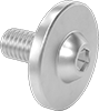 Rounded Head Screws