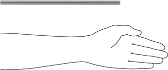 Image of Product. Side1 orientation. Contains SizingReference. Low-Strength Zinc-Plated Steel Threaded Rod, M12 x 1.75 mm Thread Size, 300 mm Long.