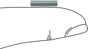 Image of Product. Side1 orientation. Contains SizingReference. Low-Strength Zinc-Plated Steel Threaded Rod, M3 x 0.5 mm Thread Size, 12 mm Long.