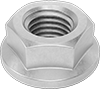 Flange Nuts
