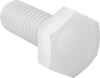 Plastic Hex Head Screws