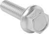 Image of Product. Front orientation. Hex Head Screws. Brass Flanged Hex Head Screws.
